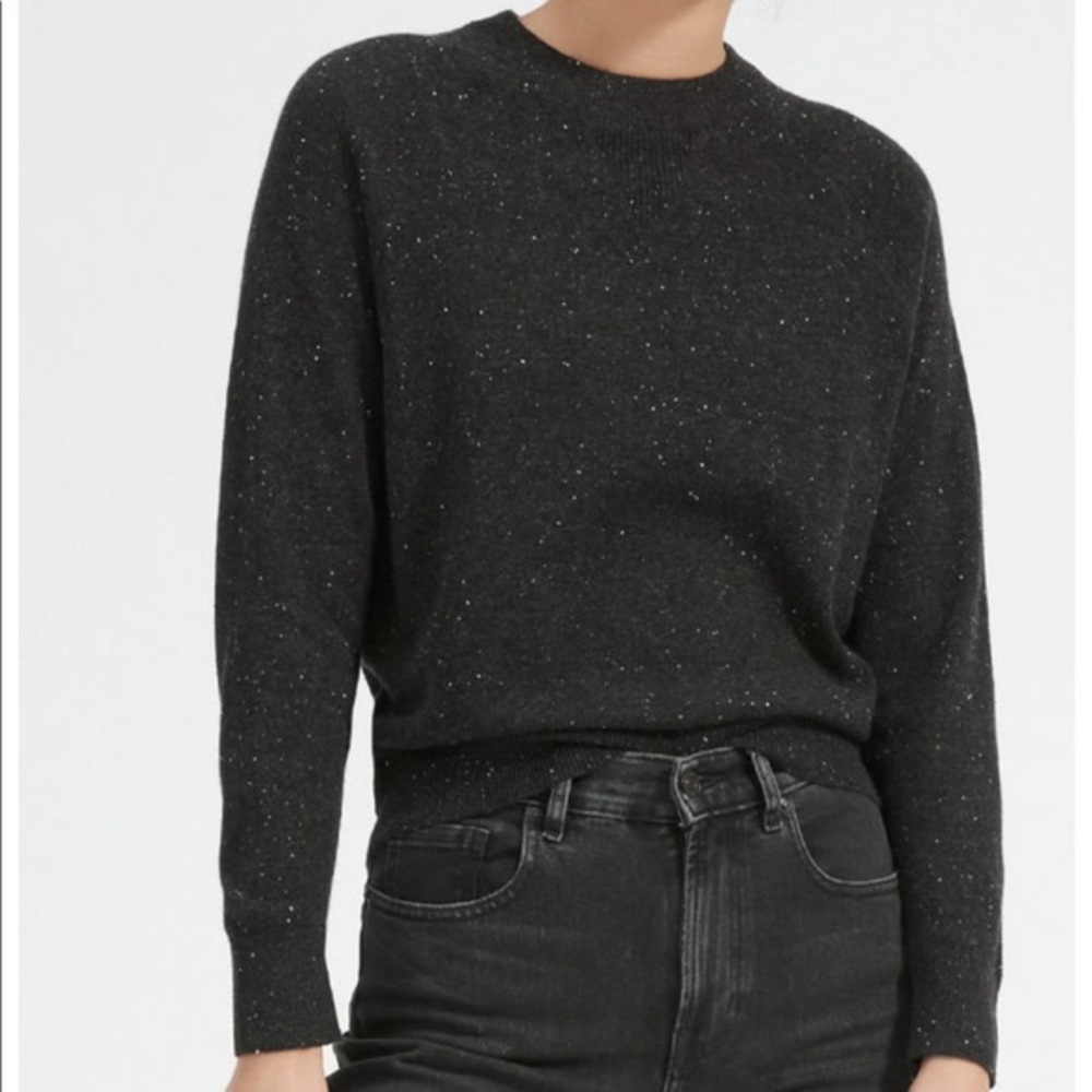 Everlane Shrunken Sweatshirt Cashmere Crewneck Sweater